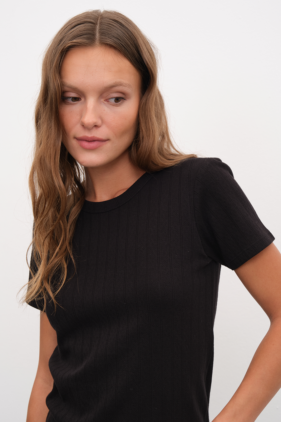 Crew Neck Fitted T-shirt in Pointelle Cotton